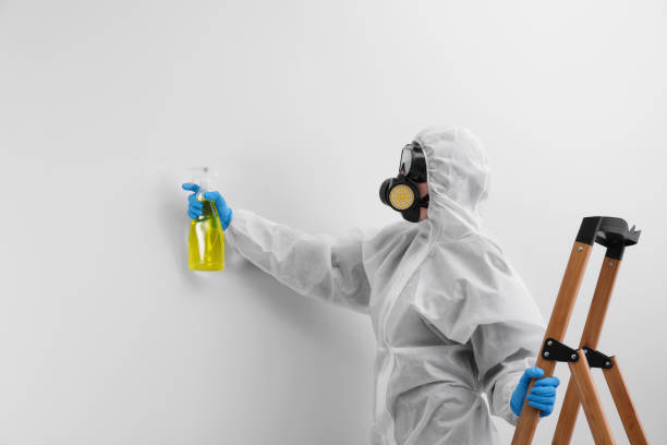 Mold Remediation for Rental Properties in Coon Rapids, IA